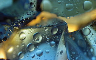 water droplets macro photography